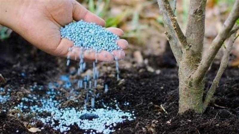 أسعار الأسمدة الفوسفاتية اليوم الأربعاء 17 مايو.. هدوء «الناعم والخشن»