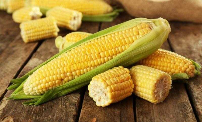 عقود الذرة الآجلة ترتفع بشكل ملحوظ عند افتتاح تعاملات الأسبوع