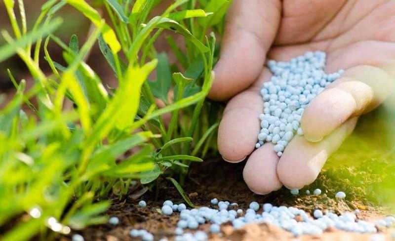 أسعار الأسمدة الآزوتية اليوم الأربعاء 24 مايو 2023