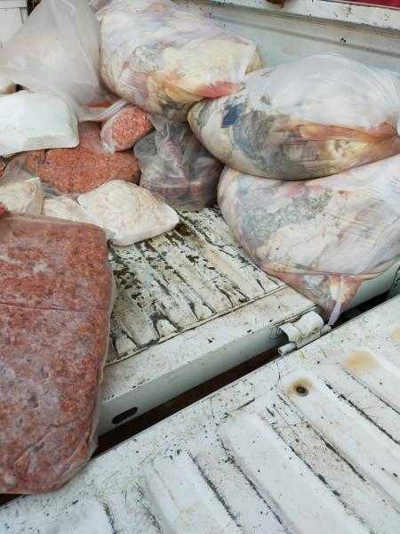«الجيزة»: ضبط 5 أطنان دواجن وأسماك ولحوم غير صالحة للاستهلاك ببولاق والعجوزة والطالبية