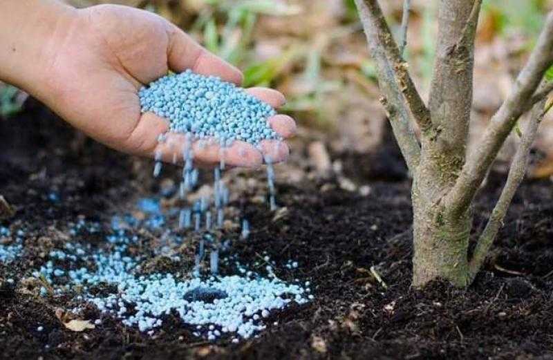 أسعار الأسمدة الآزوتية اليوم 14-6-2023 في الأسواق