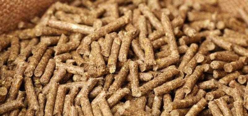 500 جنيه لـ الطن.. هبوط أسعار الأعلاف اليوم الجمعة 16 يونيو