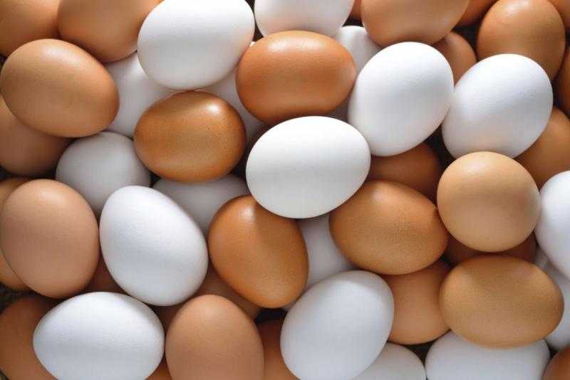 انخفاض بالجملة والمستهلك.. أسعار البيض بأنواعه اليوم السبت 8-7-2023