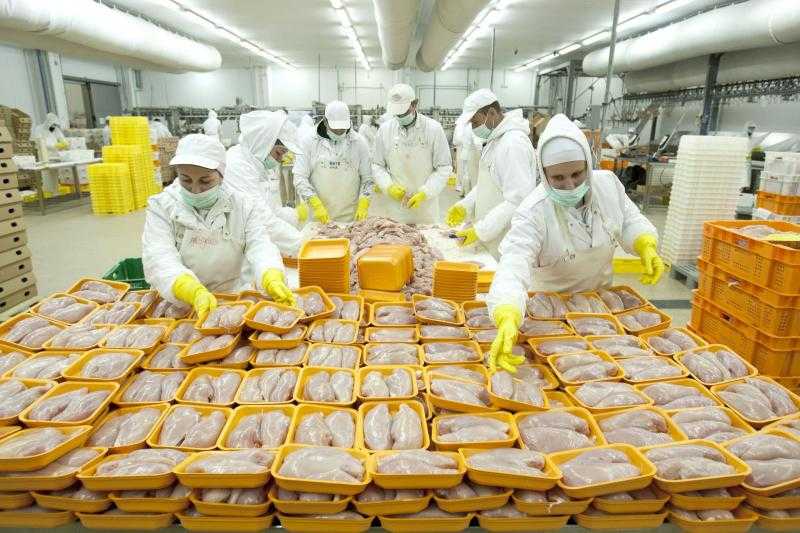 «سلامة الغذاء» تنفذ 34 مأمورية رقابية على المصانع بكافة محافظات مصر