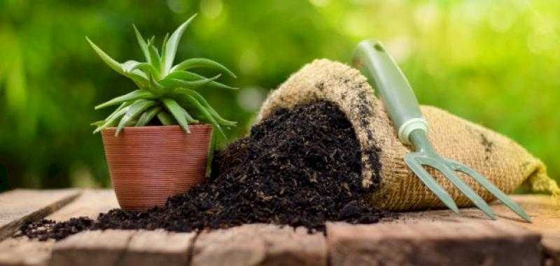 أسعار الأسمدة الفوسفاتية اليوم.. ثبات الناعم والخشن