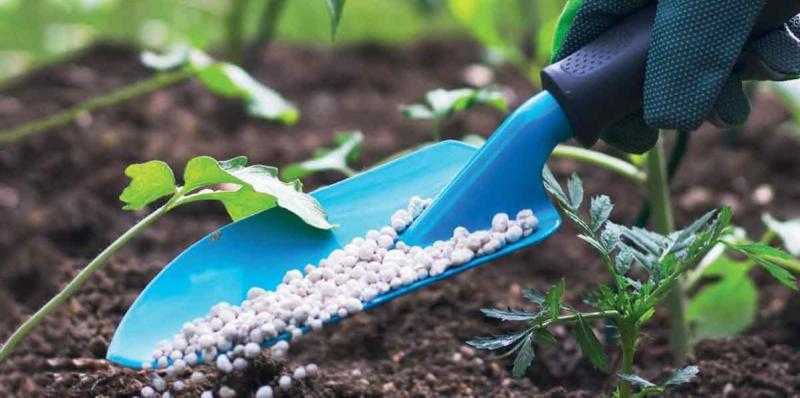 أسعار الأسمدة الآزوتية اليوم.. طن «اليوريا» بـ9200 جنيه