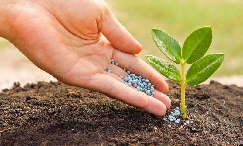 أسعار الأسمدة اليوم 13-7-2023 في الأسواق.. طن «اليوريا» وصل كام