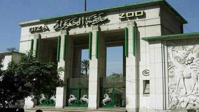 «الوزراء» يوضح حقيقة تجريف الأشجار النادرة بحديقة الحيوان أثناء التطوير