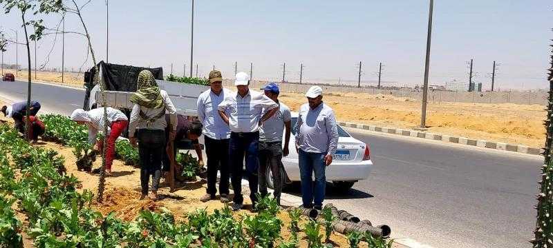 «الإسكان»: استكمال تطوير الطرق ومداخل مدينة بدر ضمن خطة شاملة