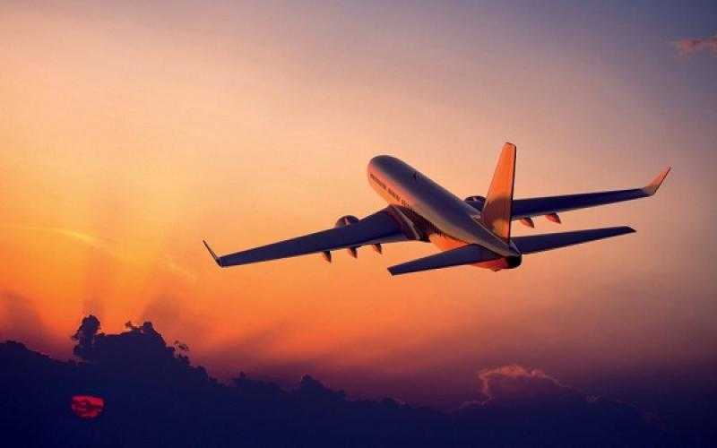 وزارة العمل توقف نشاط 4 شركات إلحاق عمالة بالخارج