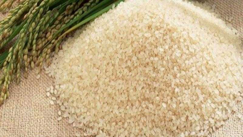 هبوط سعر الأرز عالميًا بنهاية تعاملات بورصة شيكاغو اليوم