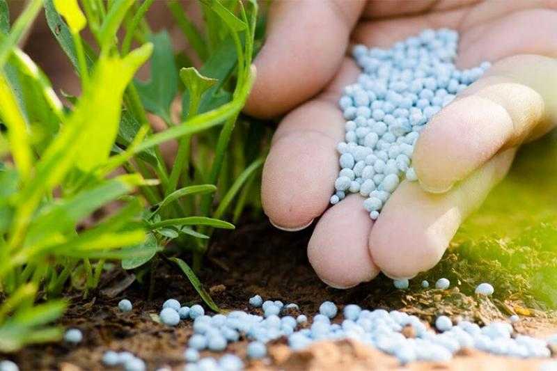 أسعار الأسمدة اليوم.. هدوء محلي وعالمي