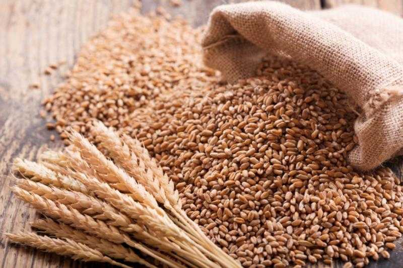 صعود العقود الآجلة للقمح بمستهل تداولات منتصف الأسبوع