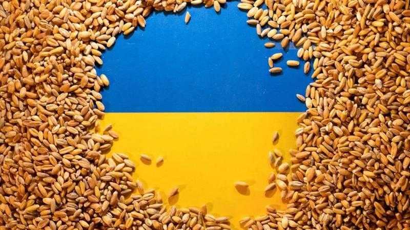 تراجع صادرات الحبوب الأوكرانية 10% في الموسم الجاري