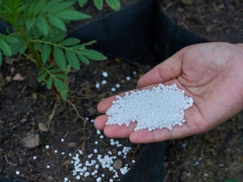 أسعار الأسمدة الآزوتية اليوم الأربعاء.. طن «اليوريا» بـ9,200 جنيه