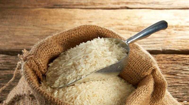 سعر طن الأرز اليوم في الأسواق.. ارتفاع الشعير 600 جنيه