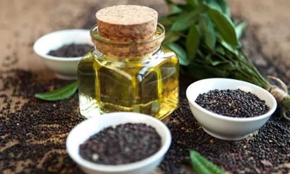 خلال 10 شهور.. مشتريات الصين من زيت بذور اللفت تسجل 1.86 مليار دولار