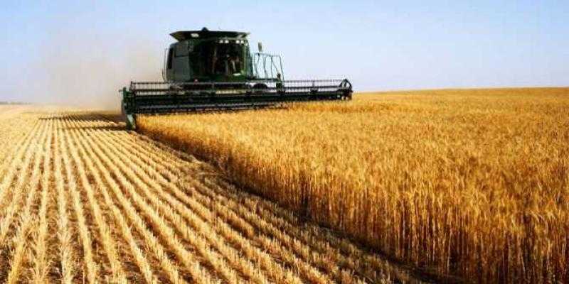 التموين: قنا تستهدف توريد 227 ألف طن قمح خلال موسم 2025