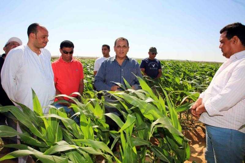 «الريف المصري» تطلق مبادرة لتشجيع زراعة المحاصيل الإستراتيجية بأراضي الـ 1.5 مليون فدان