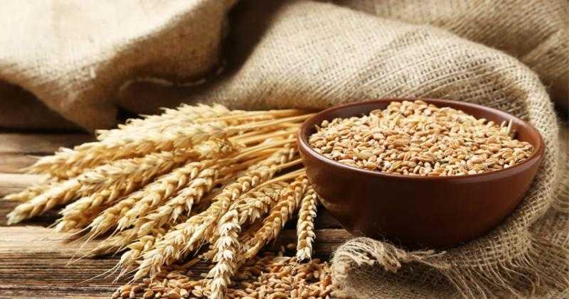 سعر القمح اليوم في الأسوق.. طن «الروسي» بـ12,900 جنيه