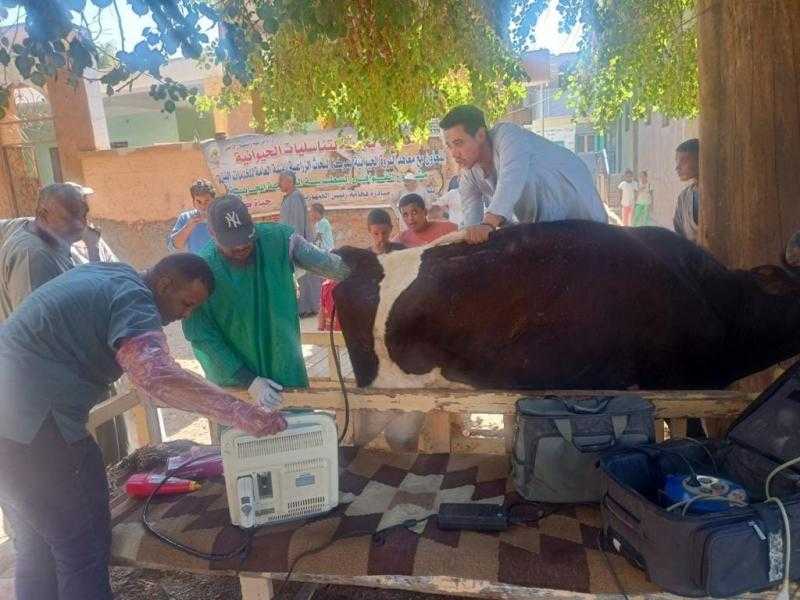 «الزراعة»: علاج وفحص أكثر من 4000 رأس ماشية مجانا لصغار المربين بأسوان