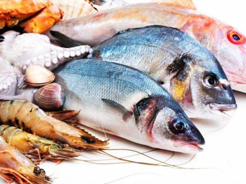 حقيقة تداول أسماك نافقة بالأسواق بعد ظهورها على سواحل ميناء الإسكندرية