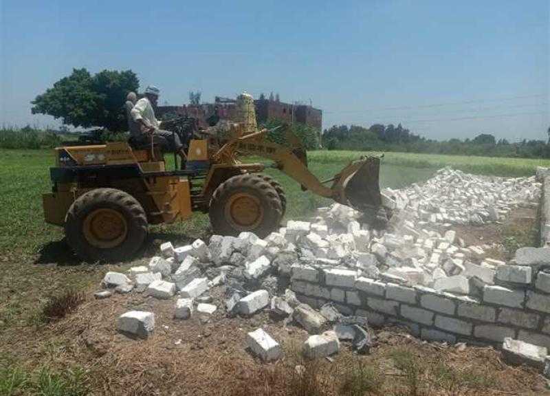 «التنمية المحلية»: إزالة 10777 حالة تعدٍ على الأراضي الزراعية خلال أسبوعين