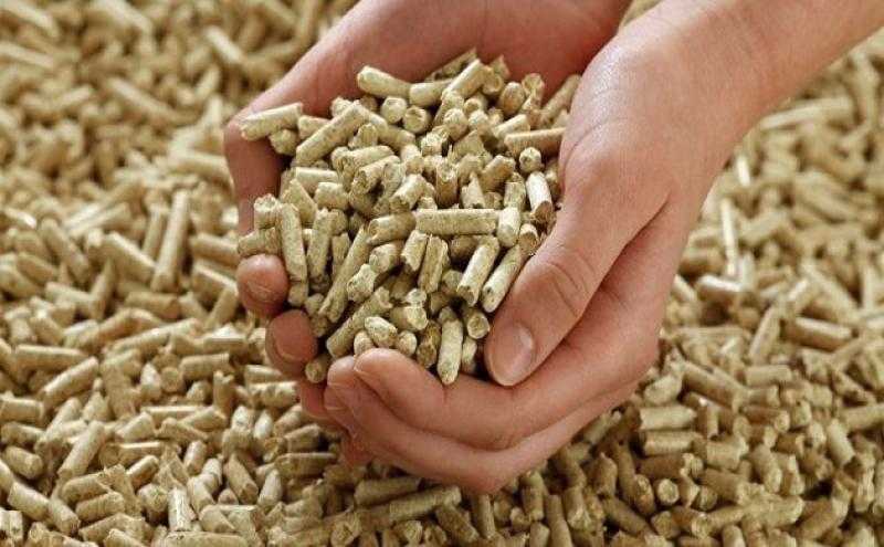 700 جنيه بالطن.. قفزة في أسعار الأعلاف اليوم بالأسواق