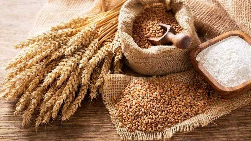 سعر طن القمح اليوم 24-11-2023 بالأسوق.. وصل كام