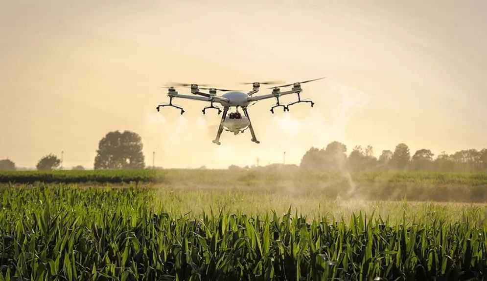 الصين تحذر من محاولات أجنبية لسرقة البيانات الجينية والبذور لتهديد الأمن الغذائي