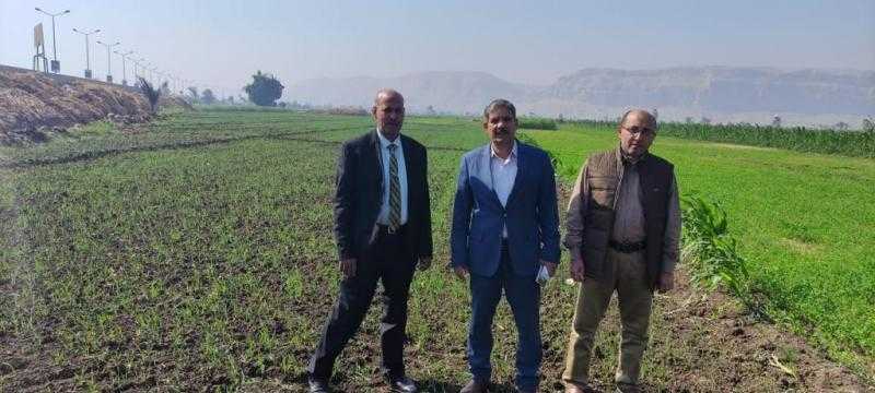 ”الزراعة” تتفقد أراضي القمح بمحافظة سوهاج| صور