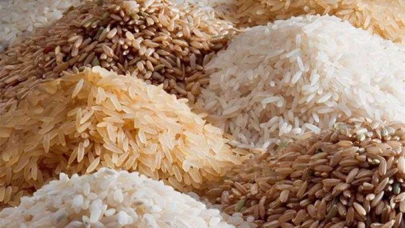 سعر طن الأرز اليوم في الأسواق.. انخفاض الشعير 100 جنيه