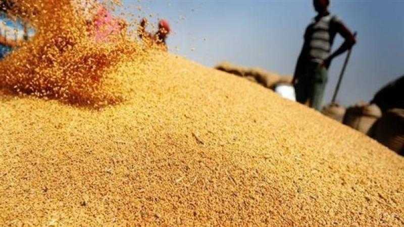 سعر القمح اليوم في الأسواق.. طن «الأوكراني» بـ12,400 جنيه