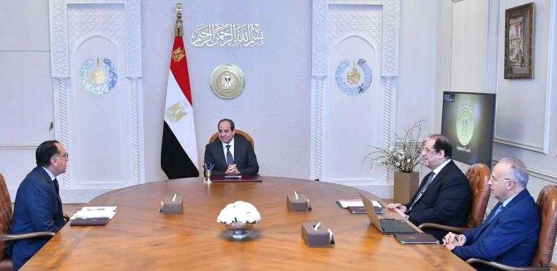 الرئيس السيسي يتابع التعاون في مجال الري والموارد المائية مع دول حوض النيل