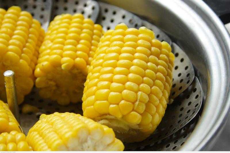 300 جنيه ارتفاعًا في سعر طن الذرة اليوم بالأسواق