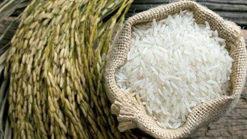 انخفاض سعر الأرز في السوق العالمية بمستهل جلسات الأسبوع