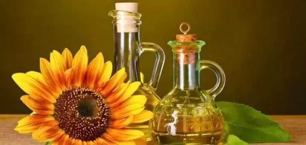 بورصة زراعية ترفع توقعات حصاد دوار الشمس في الأرجنتين لموسم 2025/2026