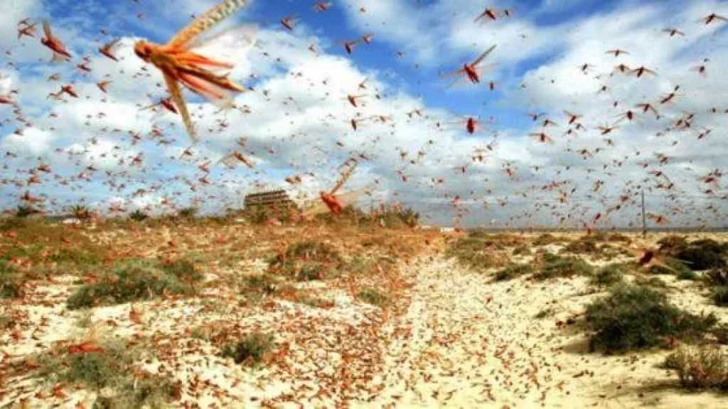 أزمة تمويل حادة تدفع برنامج الغذاء العالمي لتقليص حصص السودان