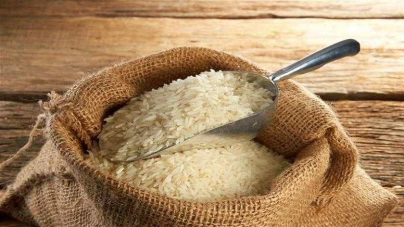 سعر طن الأرز اليوم الخميس بالأسواق.. انخفاض الشعير 100 جنيه