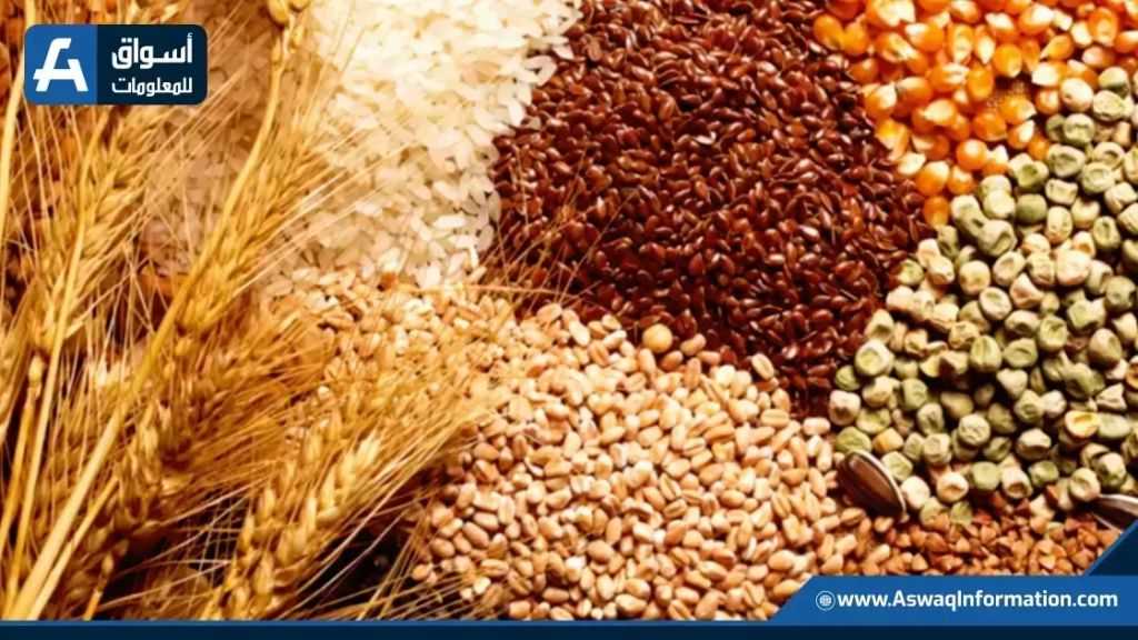 البرازيل تتجه لتسجيل رقم قياسي جديد في إنتاج الحبوب بـ 353.4 مليون طن خلال موسم 2025/26