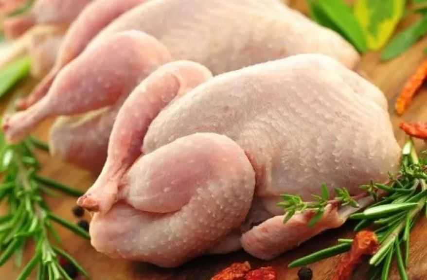 اتفاقية التجارة مع الاتحاد الأوروبي ترفع حصص صادرات الدواجن والأعلاف الأوكرانية