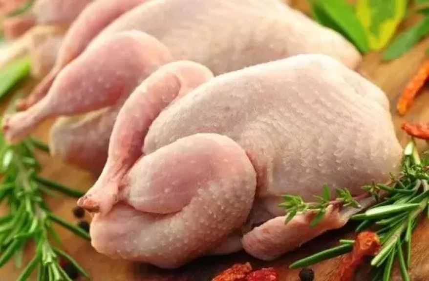 السعودية تفرض حظراً على استيراد الدواجن والبيض من 40 دولة لمواجهة إنفلونزا الطيور