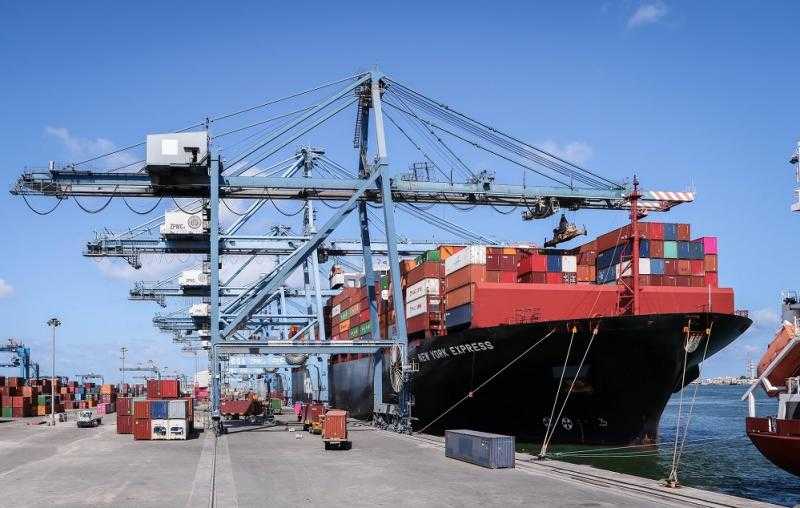 تضم قمح وحديد.. ميناء دمياط يستقبل 50747 طنًا من البضائع