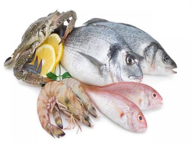 أسعار الأسماك اليوم الأربعاء للمستهلك.. الطوبار بـ120 جنيهًا