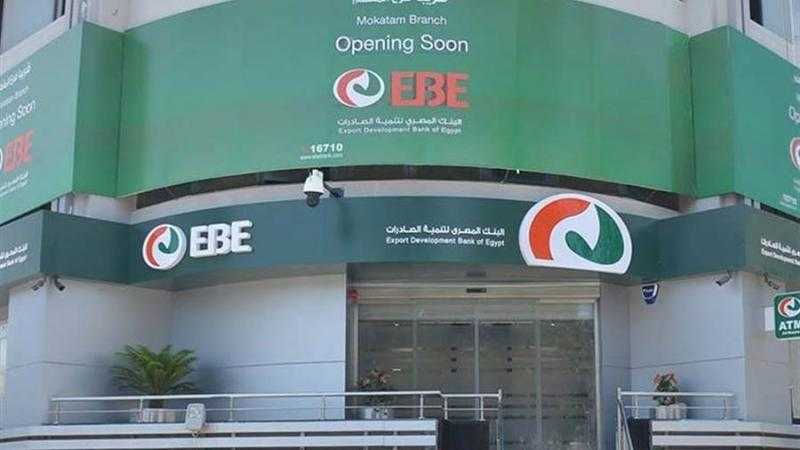 بنك تنمية الصادرات: قرار تحرير سعر الصرف يحارب التضخم.. والدولار متوفر| فيديو