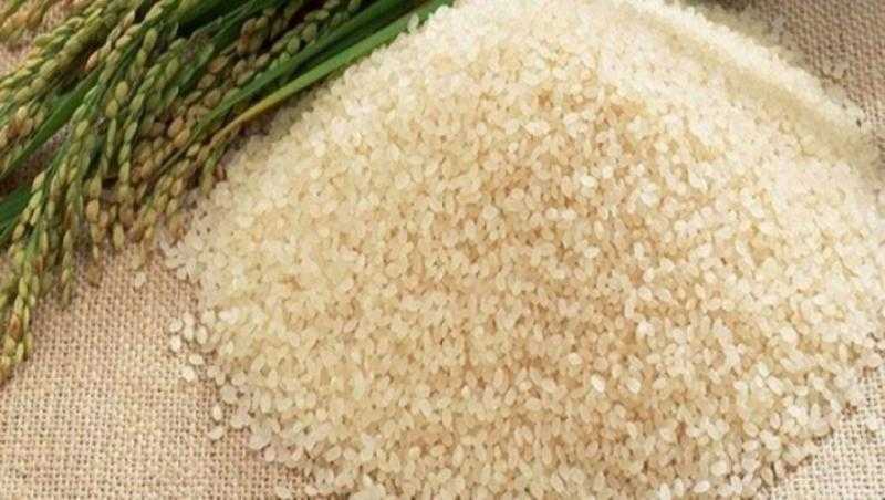 إندونيسيا تشتري 450 ألف طن من الأرز في مناقصة دولية