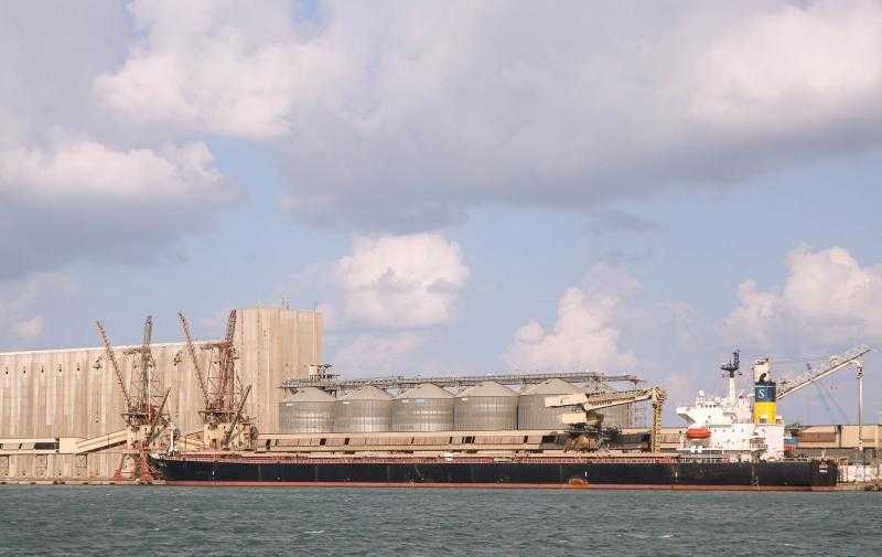 ميناء دمياط يستقبل شحنتين قمح من روسيا لصالح القطاع الخاص و”السلع التموينية”