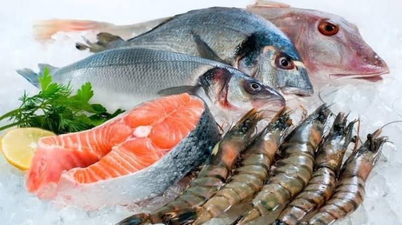 تراجع البوري.. أسعار السمك اليوم الأربعاء بسوق العبور