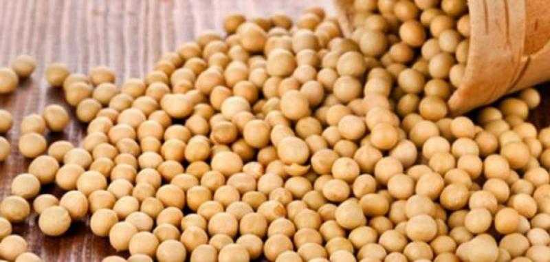 مجلس الحبوب العالمي يخفض توقعاته لإنتاج فول الصويا إلى 417 مليون طن