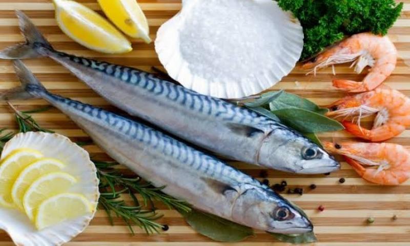 ارتفاع السبيط.. أسعار السمك اليوم الثلاثاء بسوق العبور